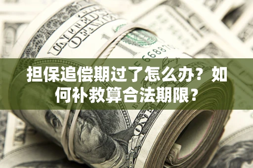 济南担保追偿期过了怎么办？如何补救算合法期限？