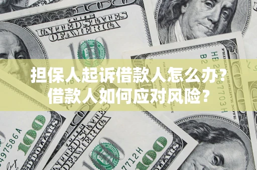 济南担保人起诉借款人怎么办？借款人如何应对风险？