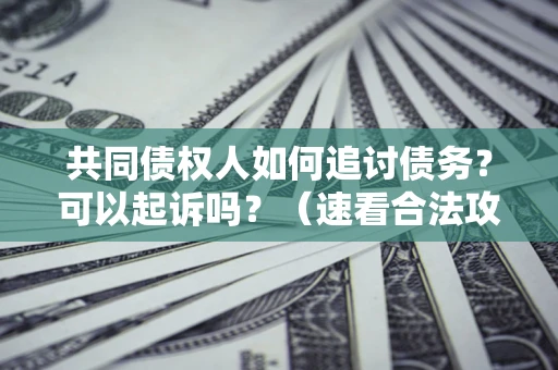 济南共同债权人如何追讨债务？可以起诉吗？（速看合法攻略）